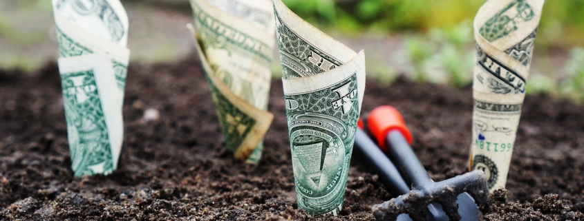 Épargner ou investir